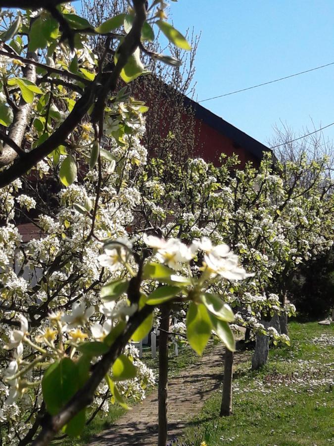 Kuca Za Odmor Mirni Kutak Вуковар Екстериор снимка
